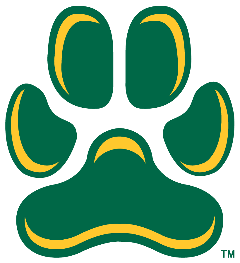 Siena Saints 2023-Pres Secondary Logo v4 diy iron on heat transfer
